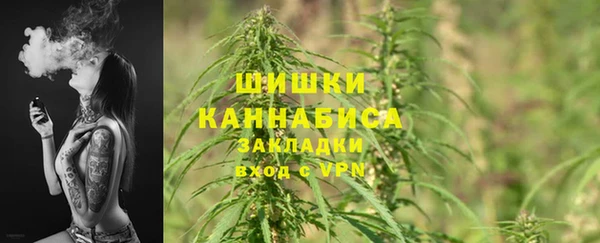дмт Вяземский