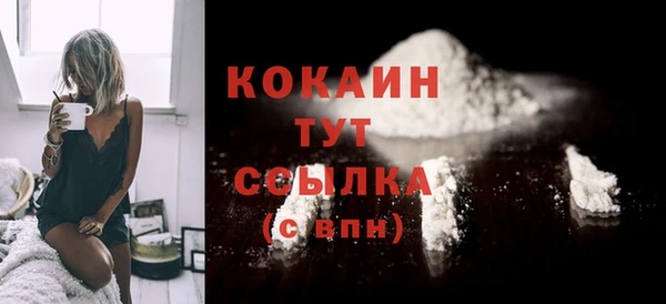 дмт Вяземский