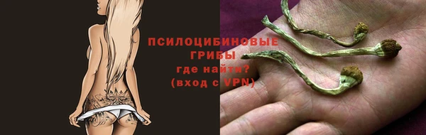 спиды Вязьма