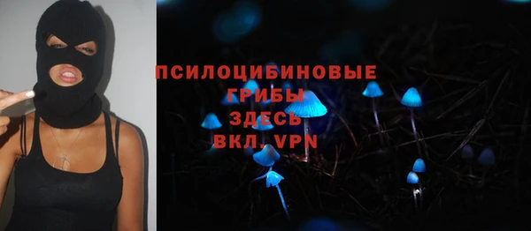 спиды Вязьма