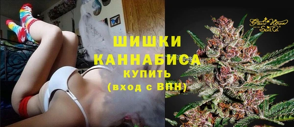 дмт Вяземский