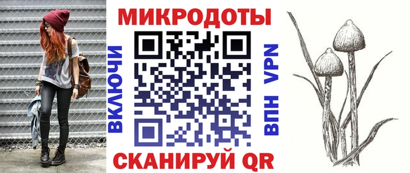 Псилоцибиновые грибы мицелий  купить   Ачинск 