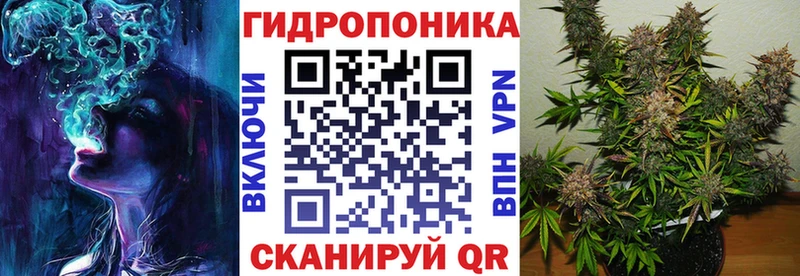 наркошоп  Ачинск  Канабис OG Kush 